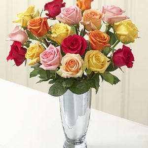 Meet your Posher, Trina